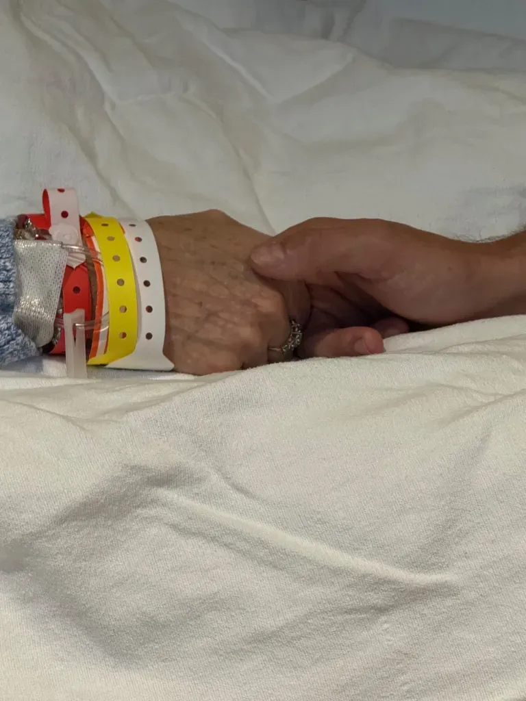 Grief, Giggles, and Iguanas: A Real Look at Family, Guilt, and Goodbyes