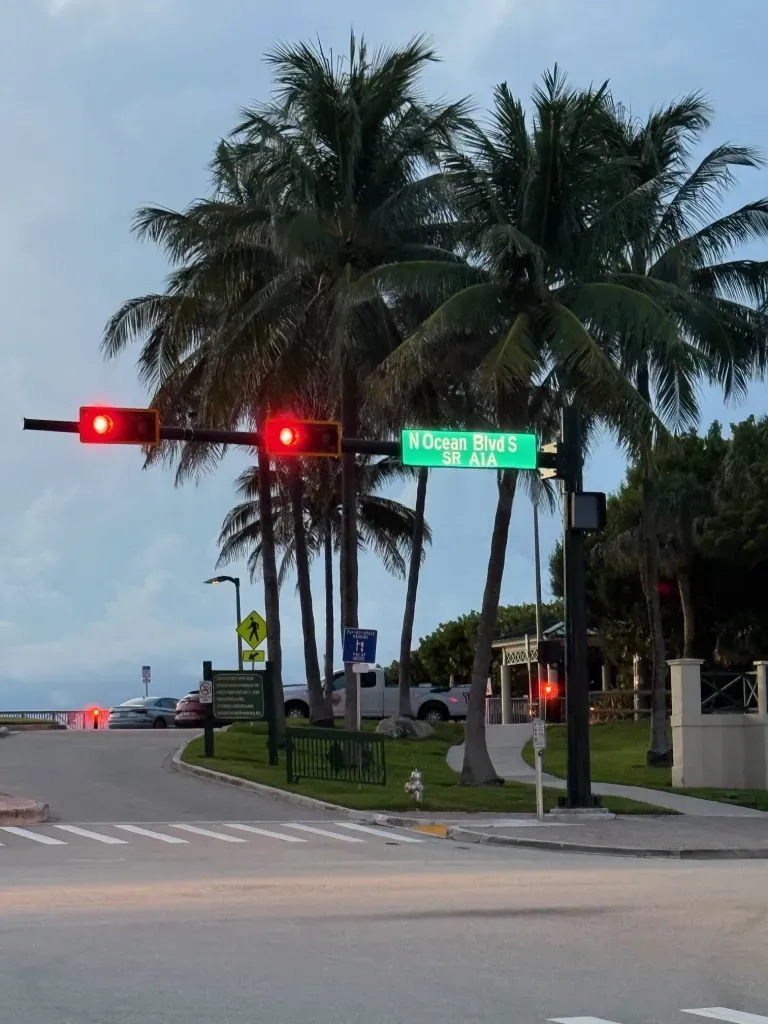 Grief, Giggles, and Iguanas: A Real Look at Family, Guilt, and Goodbyes