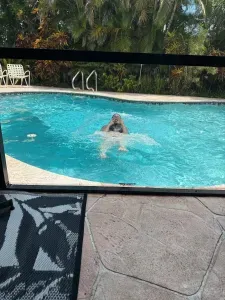 Grief, Giggles, and Iguanas: A Real Look at Family, Guilt, and Goodbyes