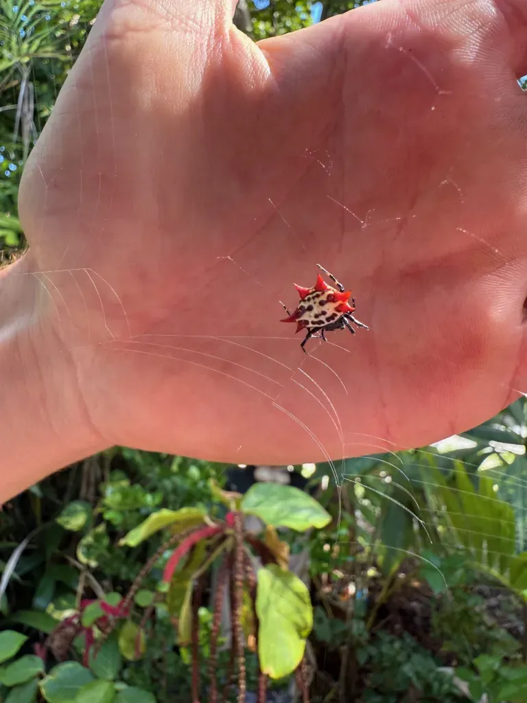 Grief, Giggles, and Iguanas: A Real Look at Family, Guilt, and Goodbyes