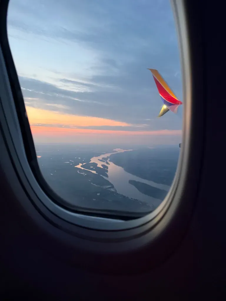 Grief, Giggles, and Iguanas: A Real Look at Family, Guilt, and Goodbyes